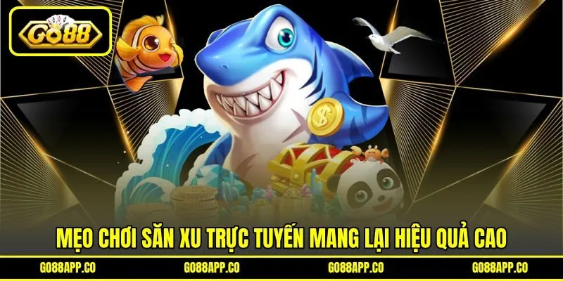 Mẹo chơi săn xu trực tuyến mang lại hiệu quả cao