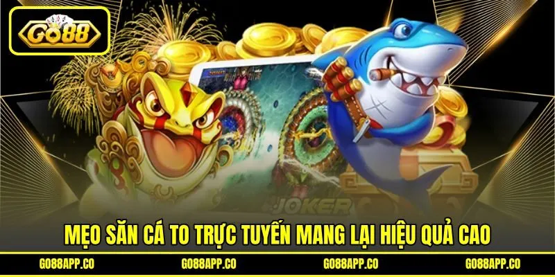 Mẹo săn cá to trực tuyến mang lại hiệu quả cao Mẹo săn cá to trực tuyến mang lại hiệu quả cao